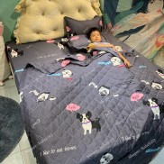  [SALE HOT] Chăn Hè Trần Bông 3 Lớp Vải PoLy Cotton ( được chọn màu)